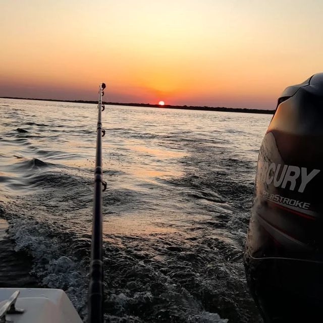 GUIA DE PESCA: MARCONI PESCA GUIADA