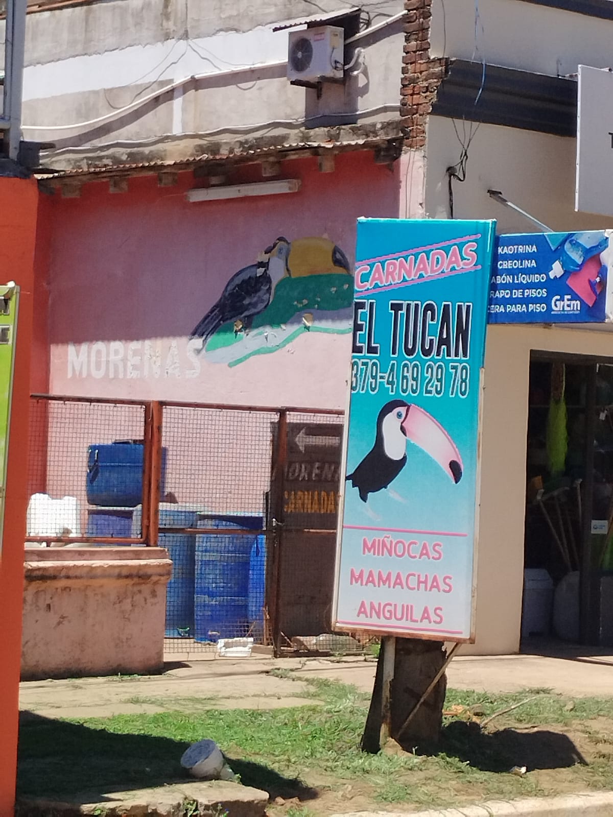 PESCA: Venta de Carnada – El Tucan