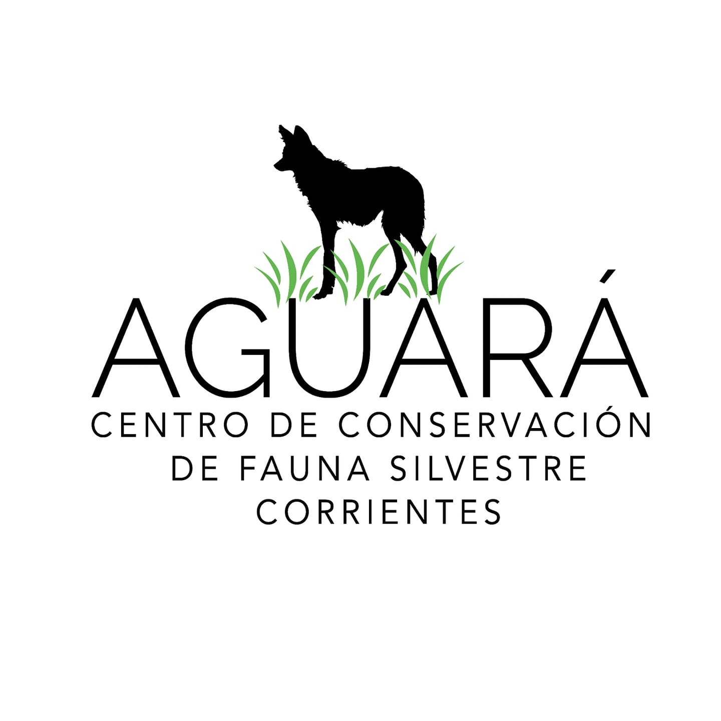 Centro De Conservacion Aguara