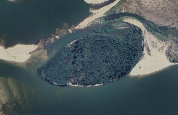 Isla De Las Ratas