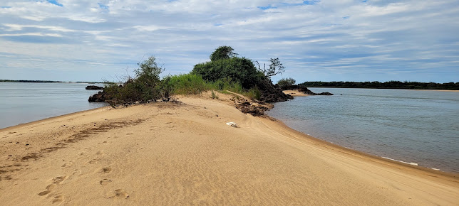 Isla De Los Pajaros