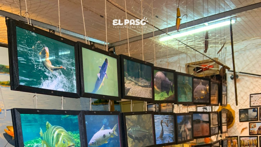 MUSEO Del Pescador